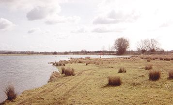 Merton looking SE