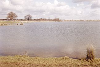 Merton looking NE