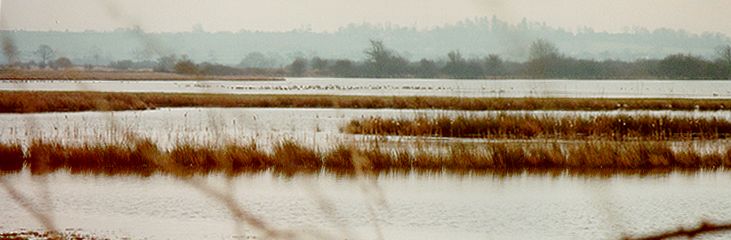 Otmoor
photo