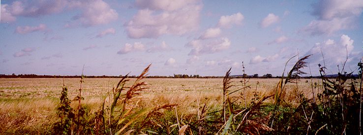Otmoor Photo 3