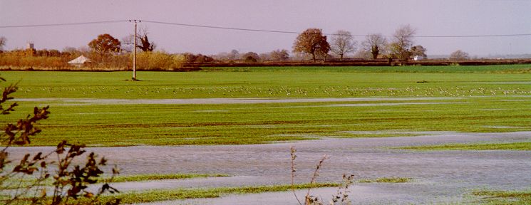 Otmoor Photo 4