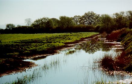 Otmoor Photo 5