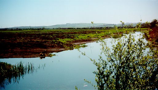 Otmoor Photo 6