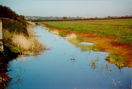 Otmoor Photo 10