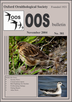 November 2004 cover