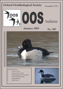 January 2005 cover