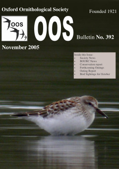 November 2005 cover