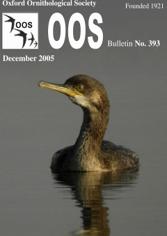 December 2005 cover