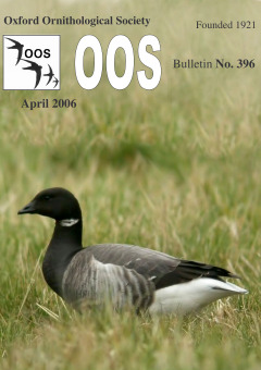 April 2006 cover