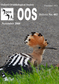 November 2006 cover