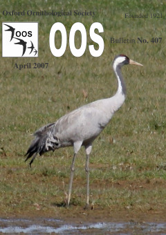 April 2007 cover