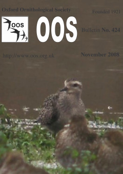 November 2008 cover