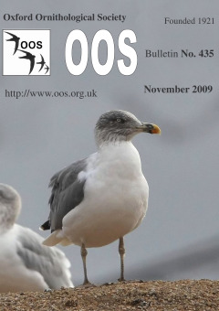 November 2009 cover