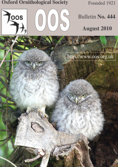 September 2010 cover