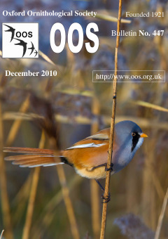 December 2010 cover