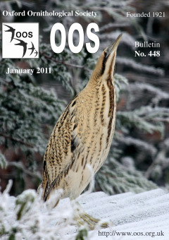 January 2011 cover