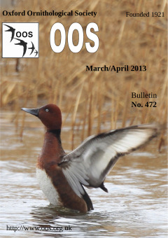 April 2013 cover