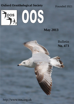 May 2013 cover