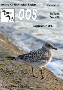 September 2013 cover