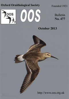 October 2013 cover