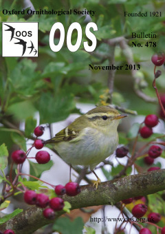 November 2013 cover