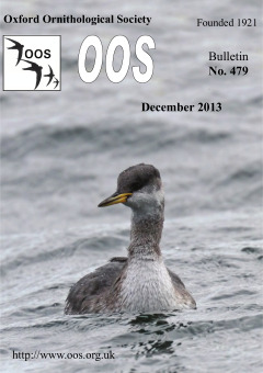 December 2013 cover