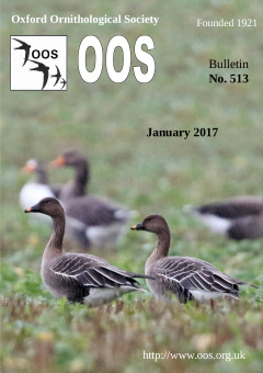 January 2017 cover