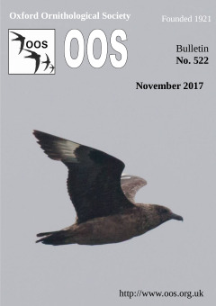 November 2017 cover