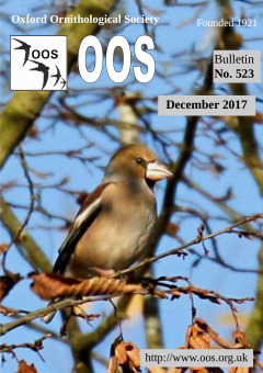 December 2017 cover