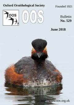 June/July 2018 cover