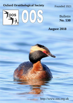 August 2018 cover