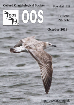 October 2018 cover