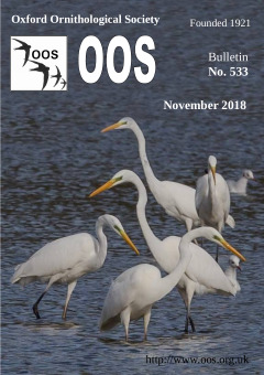 November 2018 cover