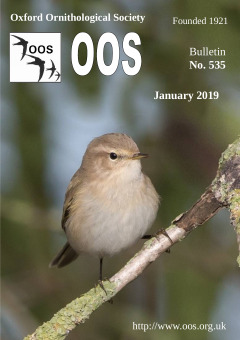 January 2019 cover