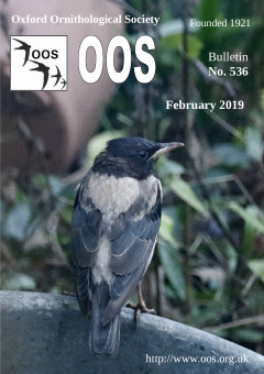 February 2019 cover
