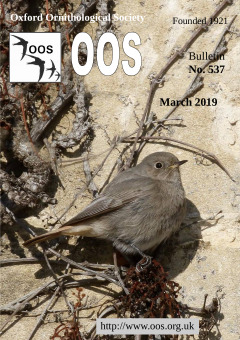 March 2019 cover