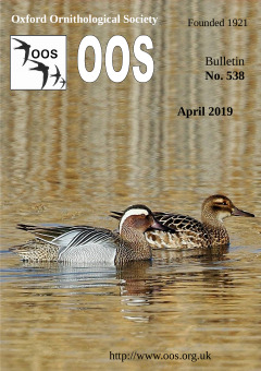 April 2019 cover