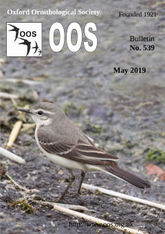 May 2019 cover