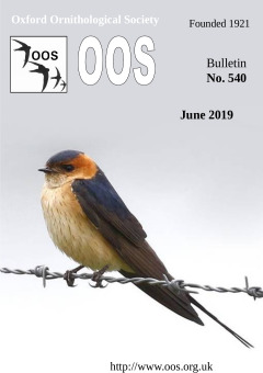 June/July 2019 cover