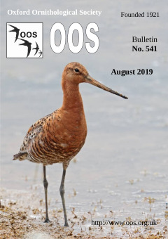 August 2019 cover