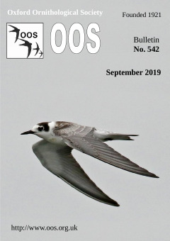 September 2019 cover