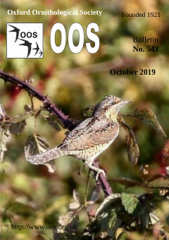 October 2019 cover
