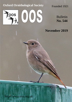 November 2019 cover