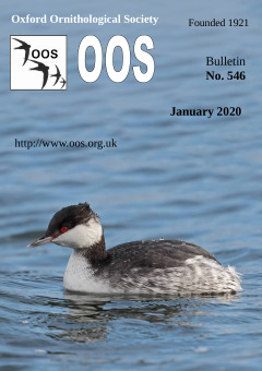 January 2020 cover