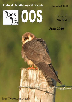June/July 2020 cover