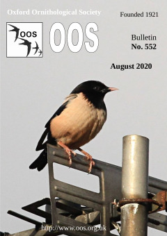 August 2020 cover
