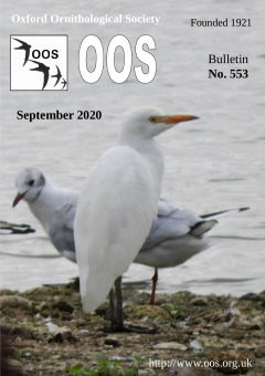 September 2020 cover