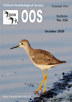 October 2020 cover