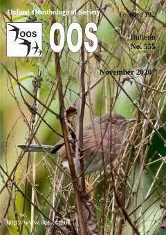 November 2020 cover