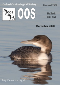 December 2020 cover